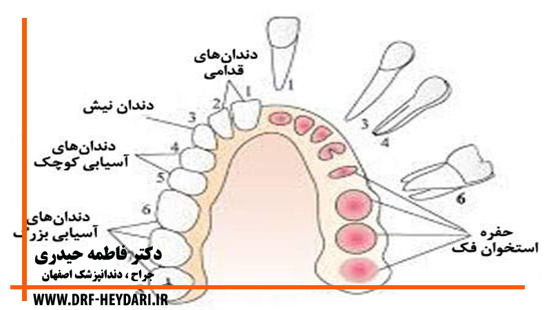 جراح دندانپزشک اصفهان